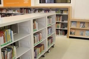 bookshelve_carts_stlouis_library