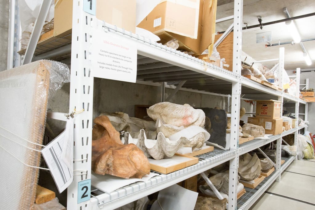 example metalshelving widespan 1