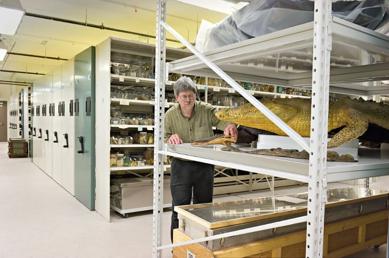 example metalshelving widespan beam