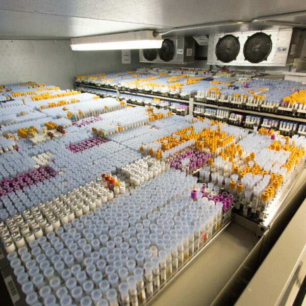 cold storage vaccines in refrigeration room