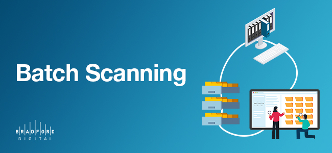 Batch Scanning In-Text 3.9.23