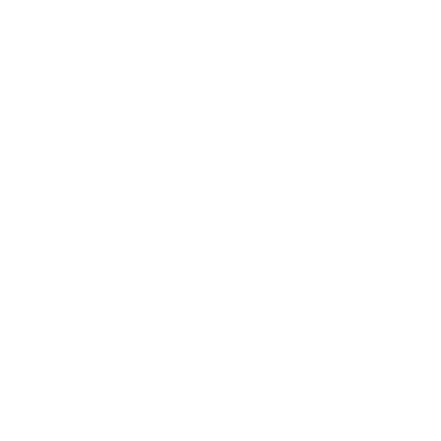 Manual