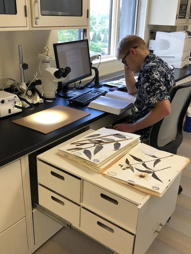 Blog 4 Workstations for Morton Arboretum