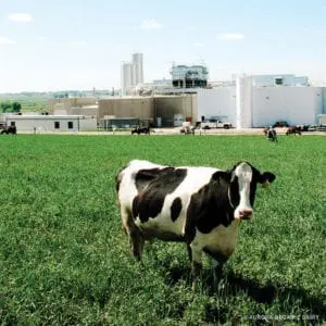 Project of the Month: Industrial Storage for Aurora Organic Dairy 2 Industrial Storage for Aurora Organic Dairy
