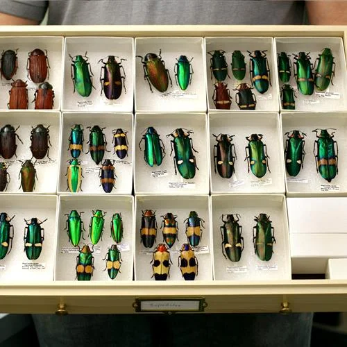 Museum Storage Space