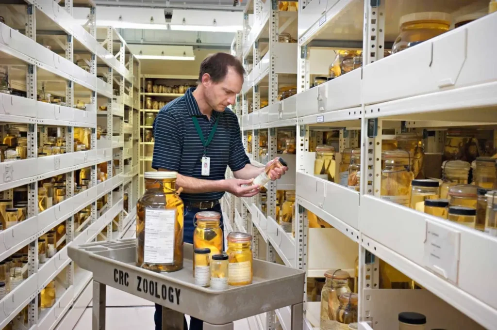 Effective Storage Solutions for Herpetological Specimens 1 Herpetological Specimens