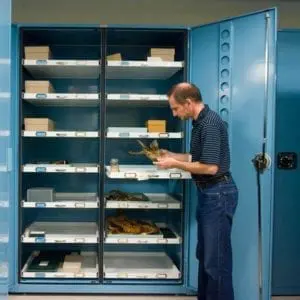 Modern Herbarium Cabinets