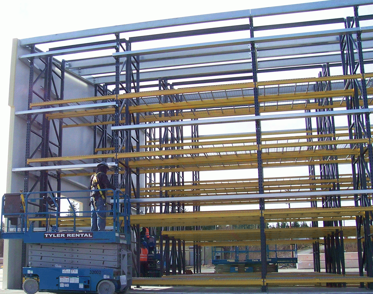 Rack Supported Bldg With Skin 21