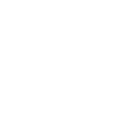 Manual