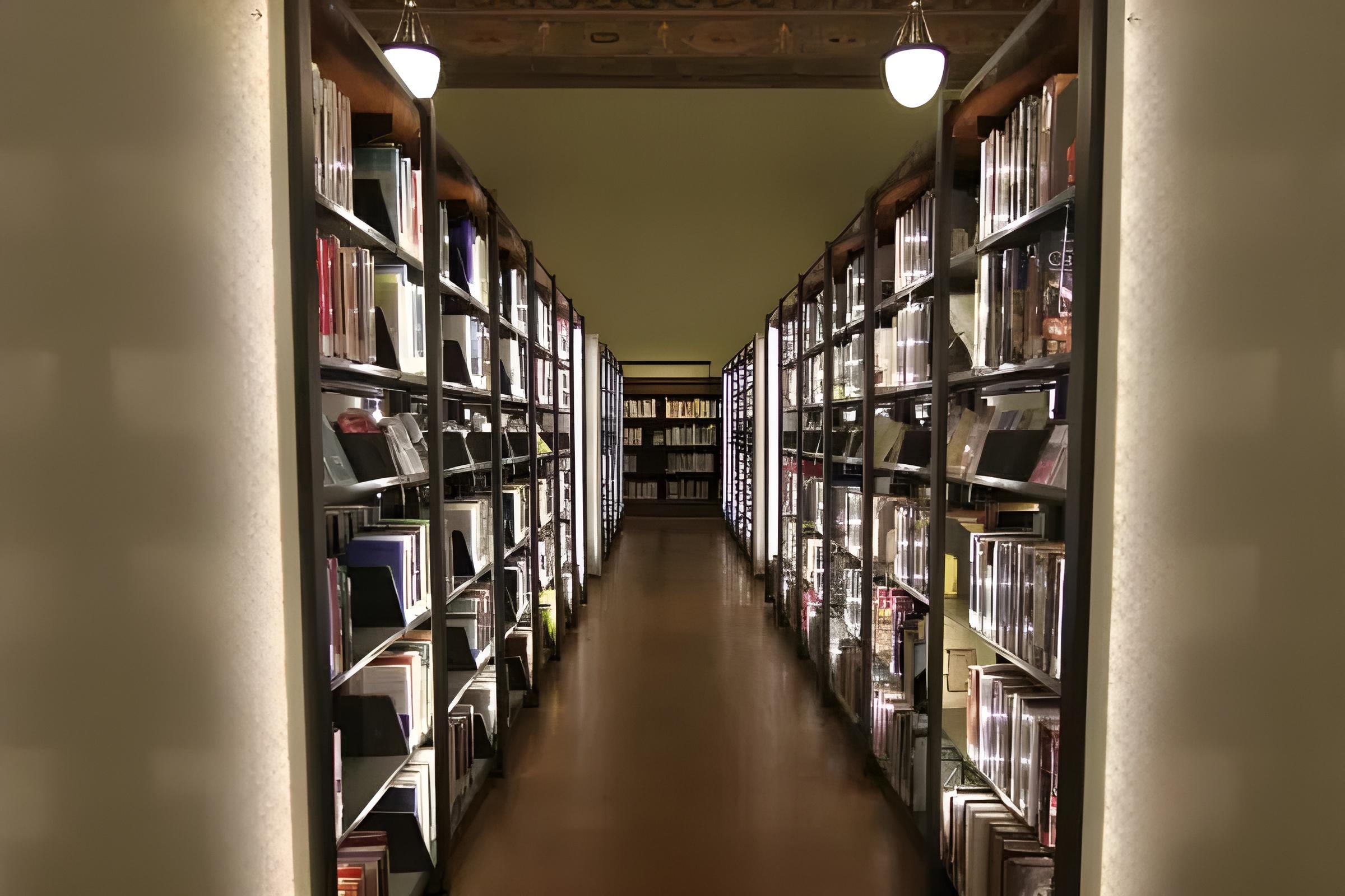 Library Storage Solutions 9 freepik enhance 2570