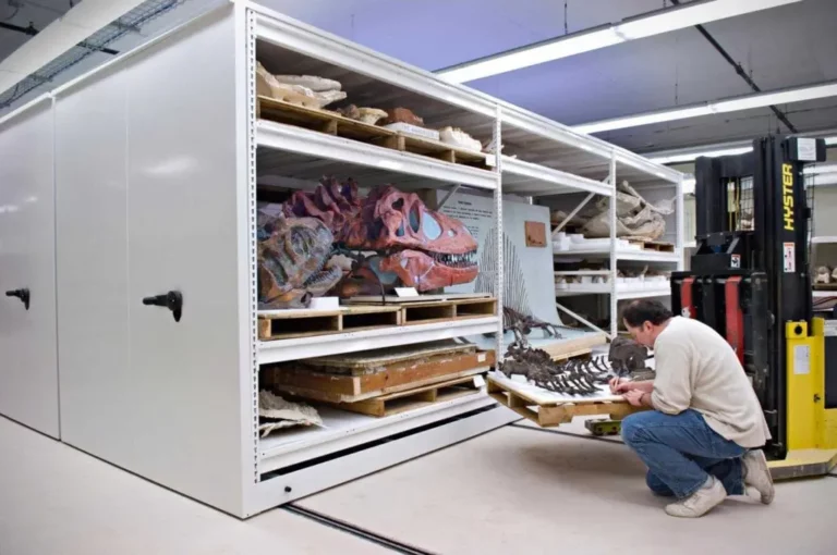 Chicago Museum Uses Compact Shelves
