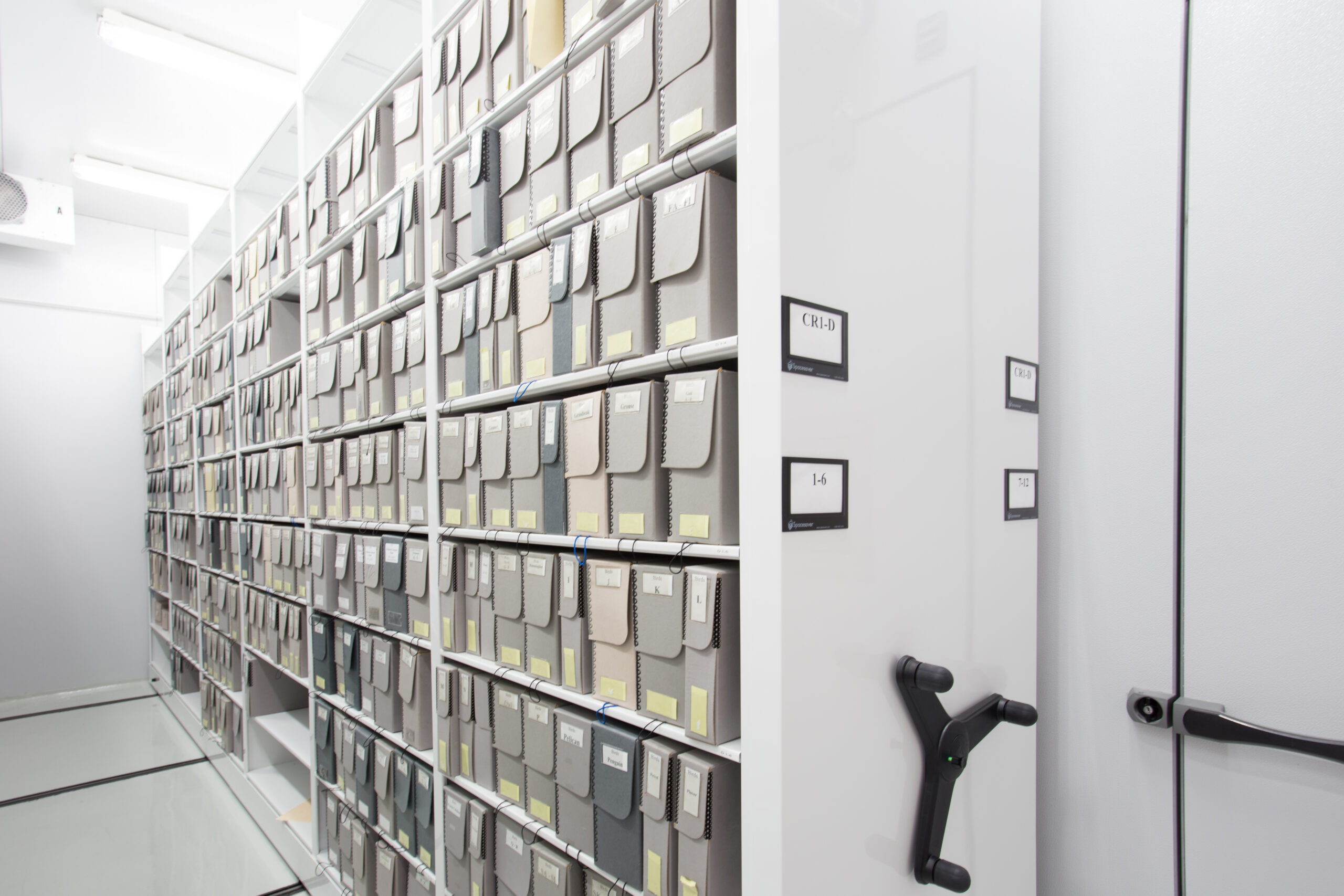 Archival storage