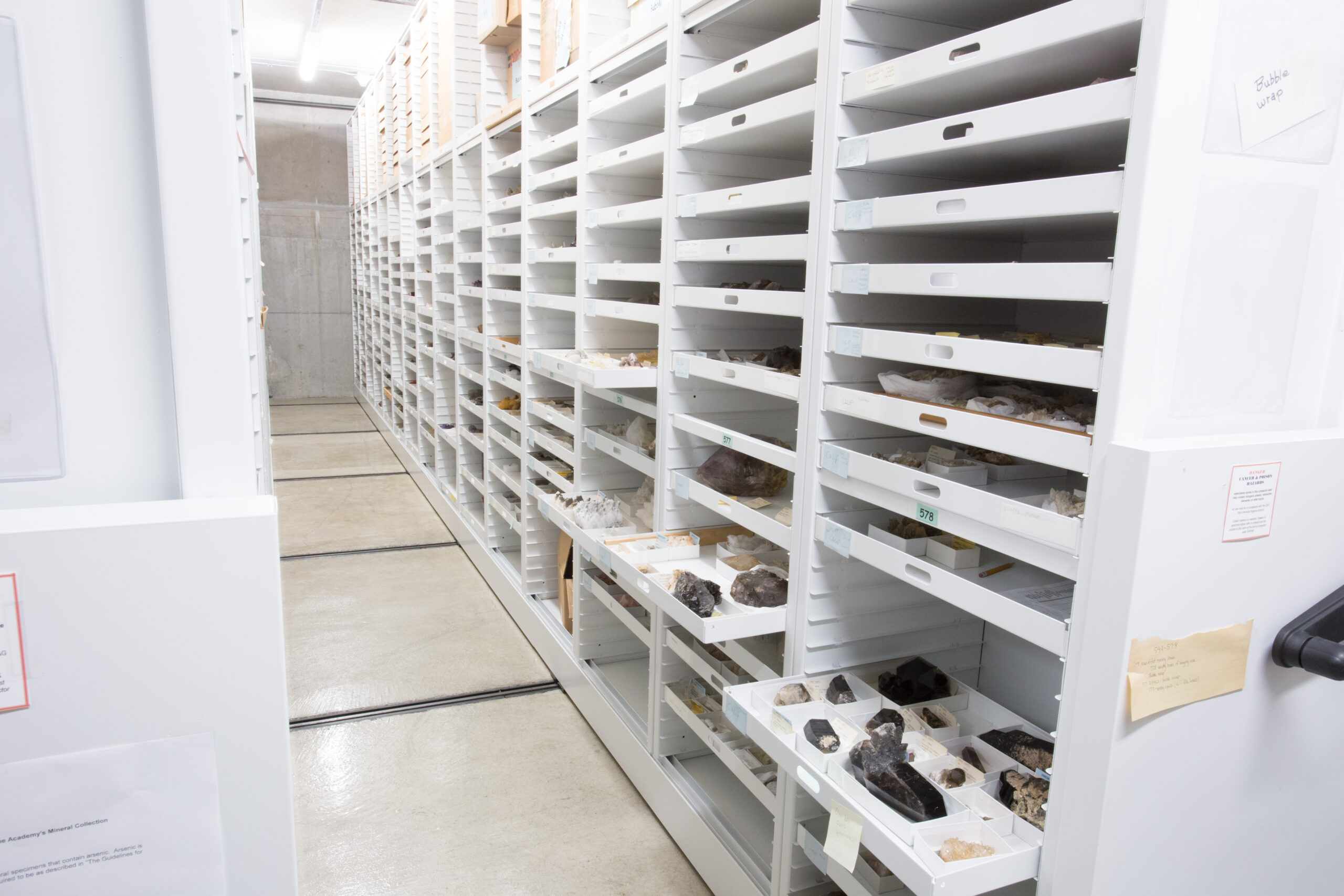 Collection-Specific Cabinetry & Storage 3 Museum cabinets