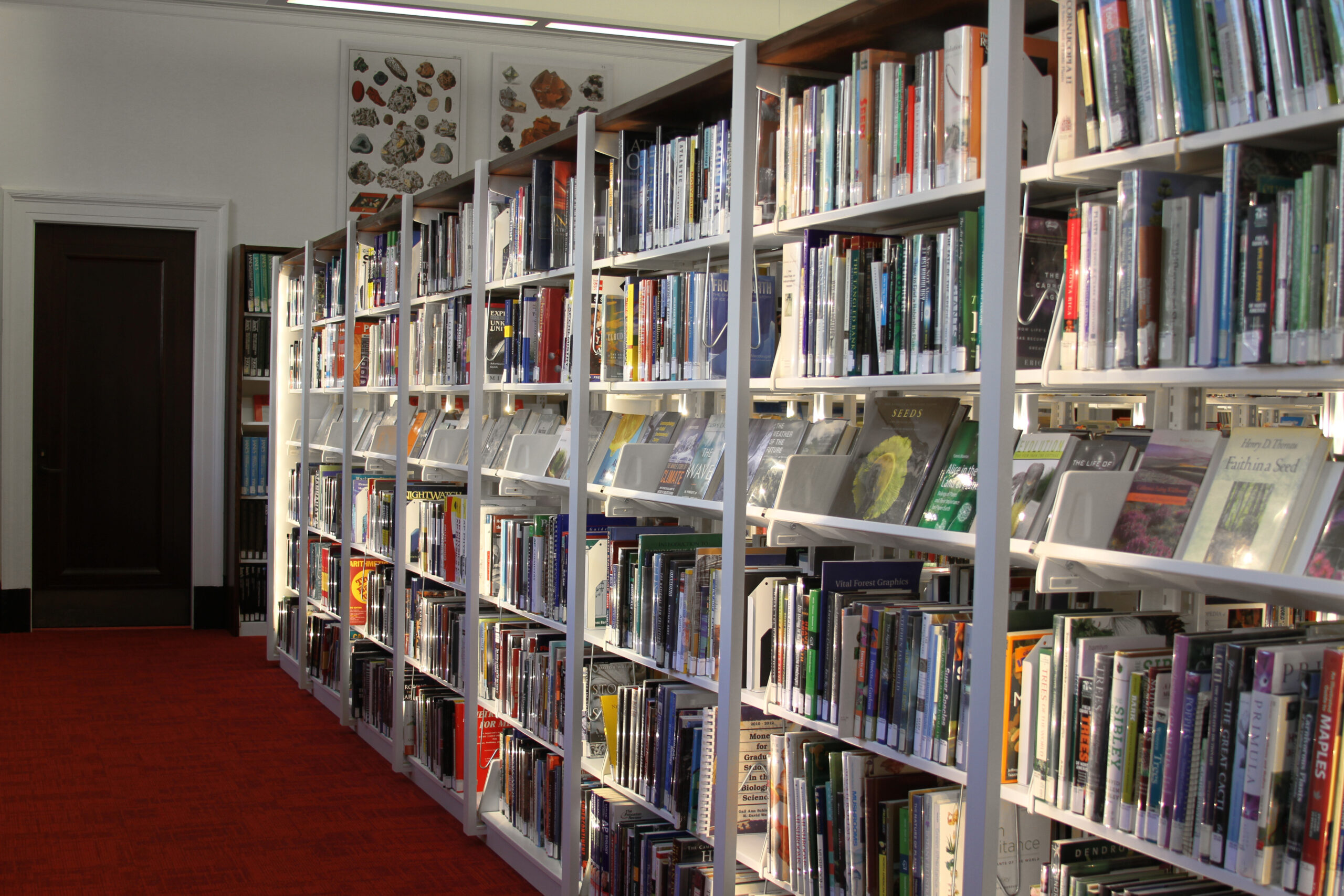 Library Storage Solutions 8 Library Shelving